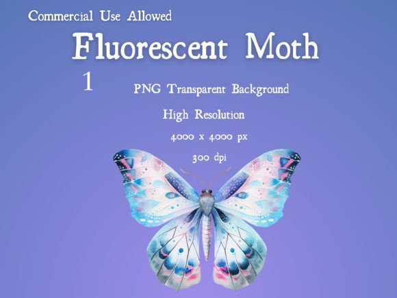 Download Moth Fluorescent Pink Purple Blue PNG - Purple Collection